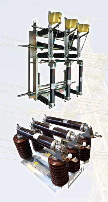 Load break switch and power fuse assemblies supplied by Montrelec
