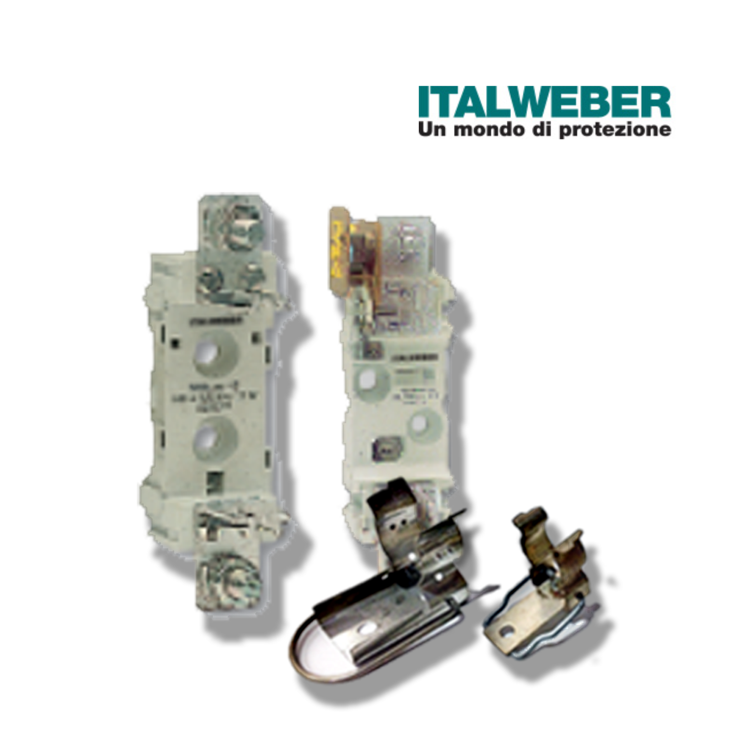 Fuse Bases and Holder